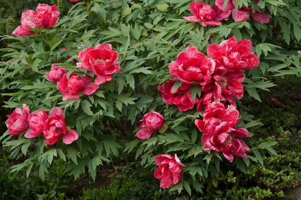 Guide ultime pour choisir le système de filtration idéal pour votre piscine !